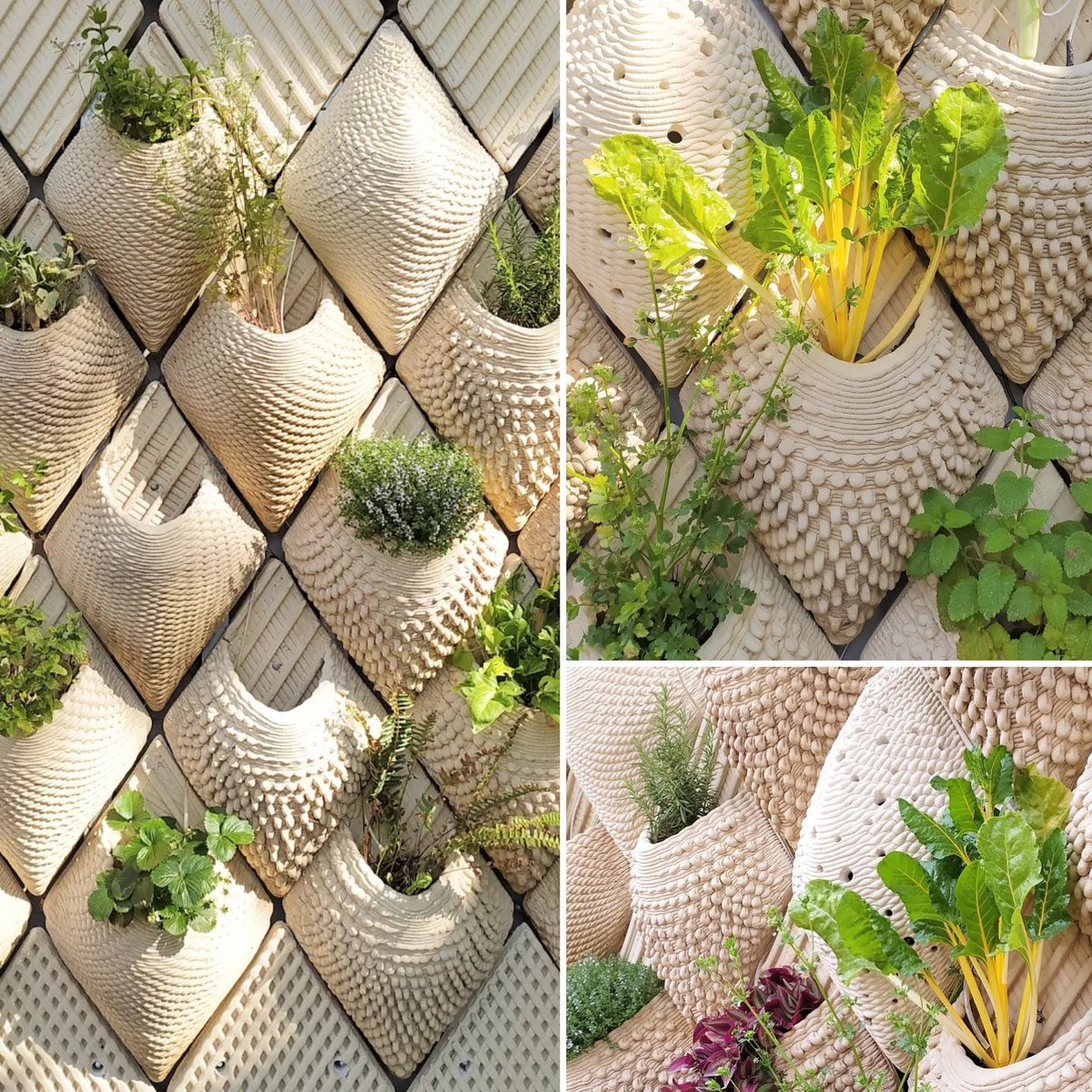 Gracias a BIT Habitat para habernos invitado a presentar el proyecto <a href="/comidaproject/">CO-mida</a> ganador de La Ciutat proactiva 2020 en el marco de la Jornada Tècnica de La Ciutat Proactiva  <a href="/IAAC/">IAAC</a> <a href="/BCN_digital/">BCN Ciutat Digital</a>