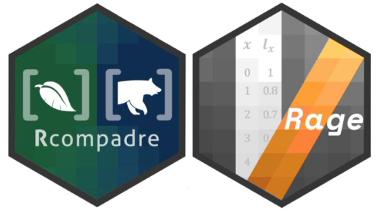 Rob Salguero-Gรณmez (@rob_salgo) on Twitter photo Your demographic analyses with structured population models just got a easier/faster compadre-db.org/AboutUs/Blog blog by @jonesor on our recent pub in <a href="/MethodsEcolEvol/">Methods in Ecology and Evolution</a> @bjenquist @jm_aburto <a href="/melindacmills/">Melinda Mills</a> <a href="/Eco_Godoy/">Oscar Godoy</a> <a href="/edgarjglz/">Edgar J Gonzรกlez</a> @dylan_childs <a href="/AubryPopEcoLab/">Lise Aubry (She/Her)</a> @m_paniw <a href="/OxfordBiology/">Oxford Biology</a> Your demographic analyses with structured population models just got a easier/faster compadre-db.org/AboutUs/Blog blog by @jonesor on our recent pub in <a href="/MethodsEcolEvol/">Methods in Ecology and Evolution</a> @bjenquist @jm_aburto <a href="/melindacmills/">Melinda Mills</a> <a href="/Eco_Godoy/">Oscar Godoy</a> <a href="/edgarjglz/">Edgar J Gonzรกlez</a> @dylan_childs <a href="/AubryPopEcoLab/">Lise Aubry (She/Her)</a> @m_paniw <a href="/OxfordBiology/">Oxford Biology</a>
