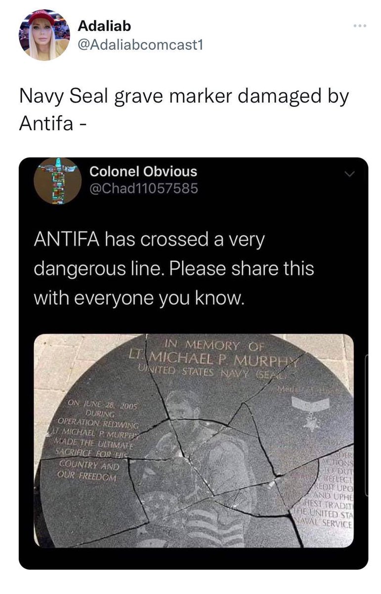 ThorDeplorable's tweet image. 