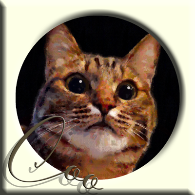 猫モデル のイラスト マンガ コスプレ モデル作品 Twoucan