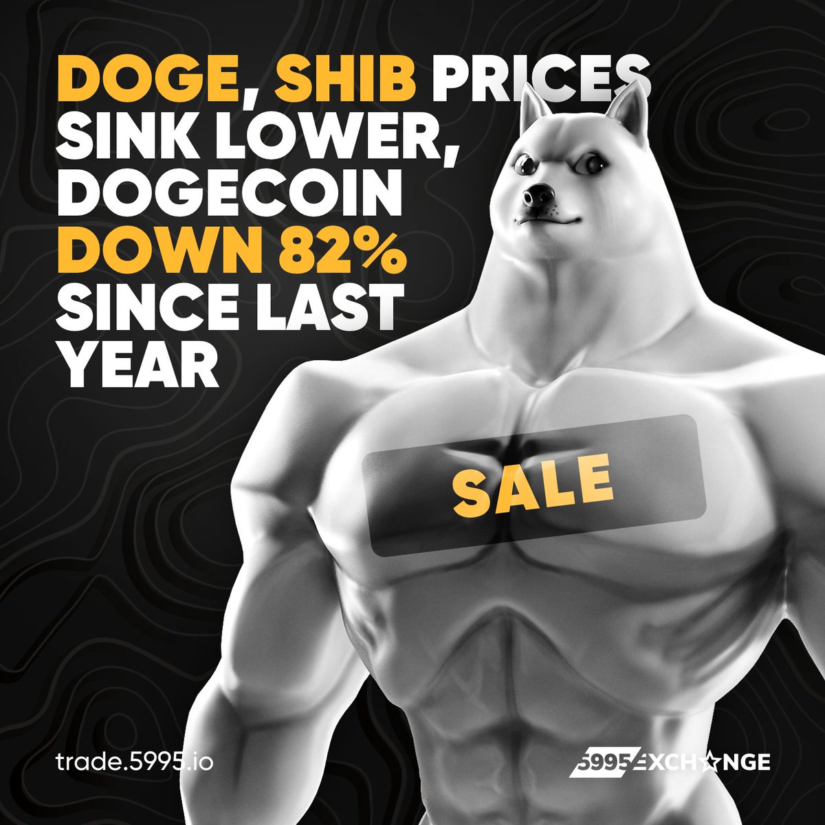 5995Exchange's tweet photo. Earn now: https://t.co/PAx5eLwI10⠀
Details: https://t.co/JYWFfAOxLv 
⠀
#crypto #cryptocurrency #kenya #asia #southafrica #nigeria #europe #5995exchange #blockchain #business #money #exchange #investing #investor #trader #investment #invest #doge #dogecoin #shib #shibcoin https://t.co/bR4LaUGbjG