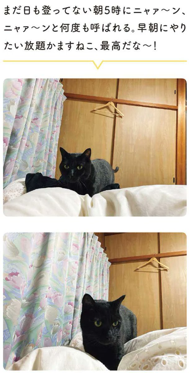 のどをさするとあごがしゃくれる猫。のどをかくとどこが動く?/黒猫ろんと暮らしたら 3【2ページ目】 - レタスクラブhttps://t.co/JqYVqPkQ2q 