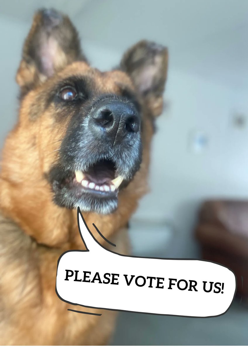 Teckels Animal Sanctuaries tweet media