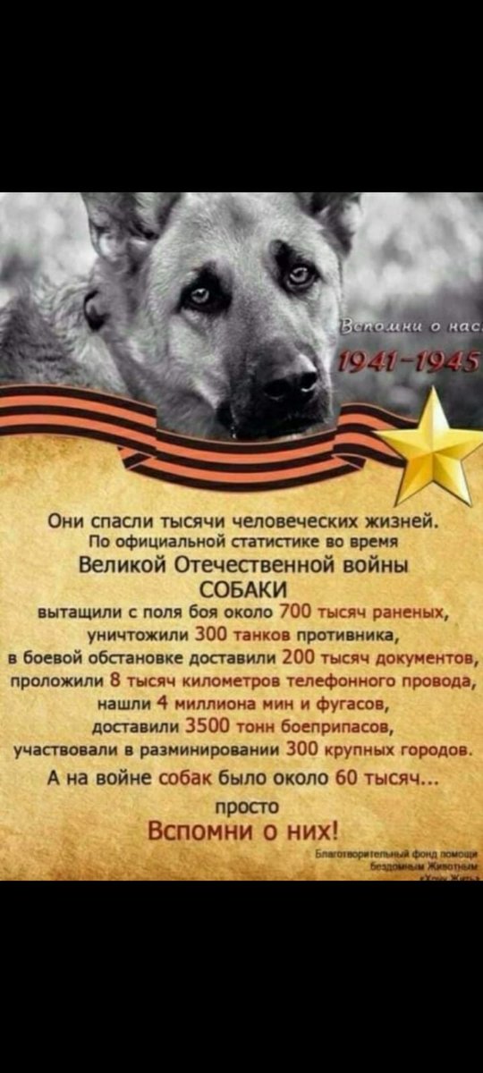 AnnaAboltus's tweet photo. https://t.co/tvPWGXrlhu