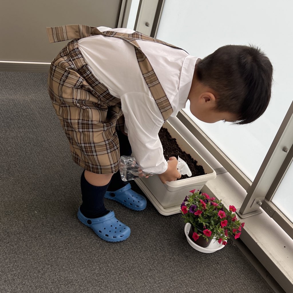 Ayazabeth_'s tweet photo. 自分のお小遣いでお花買って、
朝もちゃんと水やりして偉い🥰 https://t.co/hz6Bl1tGcY