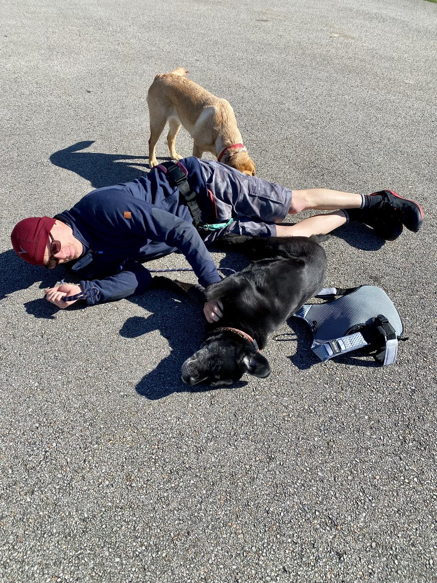 FitLabDeepCreek's tweet photo. #MondayMorning #FitTip from #FitLabPGH #podcast (link below): #RewardYourself for moving more. Encouraging you to #MoveMore this May w/ tips to help you sneak more #movement into your life.

#JustMove #pghdogs #trailbathing 

https://t.co/v9y3vVvGCr https://t.co/ubbBglUQTj