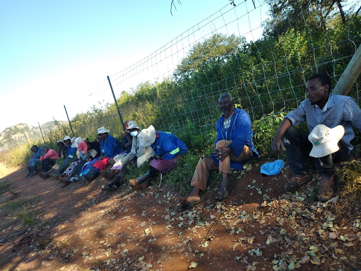 eSusFarm® (@esusfarm_africa) on Twitter photo (2/2)Remember to upload your agronomic information at *700# as a smallholder farmer so that you can be easily discovered by the agri-value chain.
For more assistance:
Email: nompilo@esusfarm.africa / nomathamsanqa@esusfarm.africa
Cell: +26879344028
#data #esusfarm #agriculture (2/2)Remember to upload your agronomic information at *700# as a smallholder farmer so that you can be easily discovered by the agri-value chain.
For more assistance:
Email: nompilo@esusfarm.africa / nomathamsanqa@esusfarm.africa
Cell: +26879344028
#data #esusfarm #agriculture