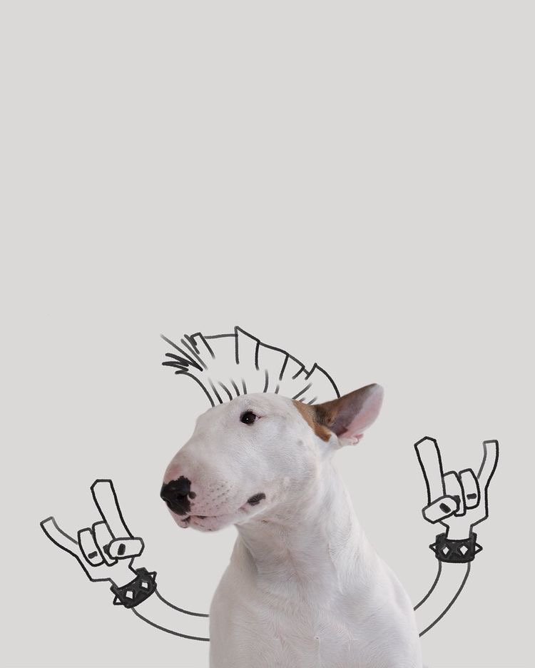 JustDionne_'s tweet photo. Our community absolutely cracks me up! 😂

@Dogami Fam is killing it with the memes and artwork! 🐾🐾

Keep it up guys! 🚀

➡️https://t.co/kq4UTV5kuV 

#dogafam #dogamemes #XTZ #nfts https://t.co/8zyTwY8xiy