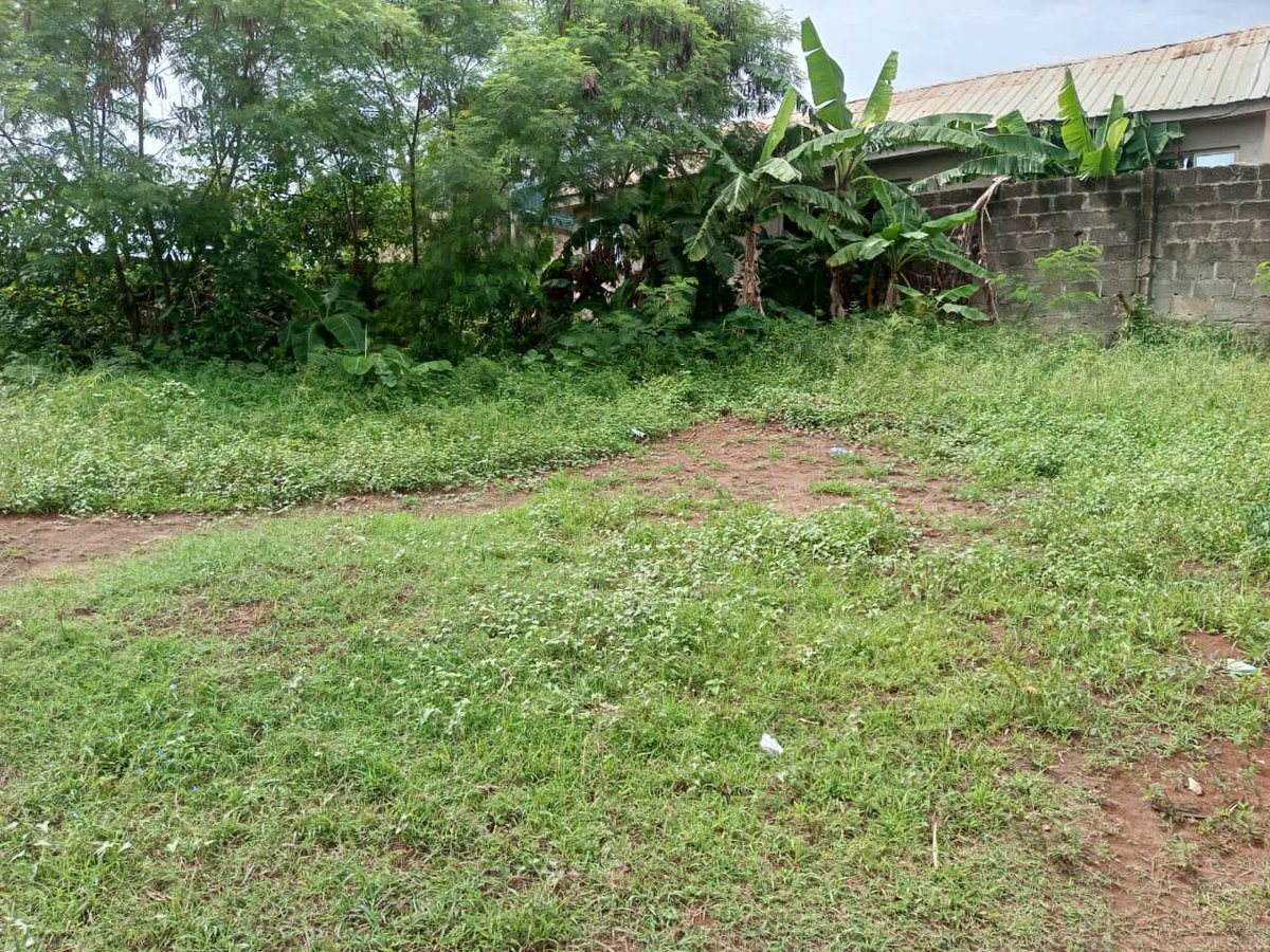 shekpe3232's tweet image. JUST OUT FOR SALES.

Half plot of land measure 60ft by 60ft at Command via Meran, Lagos with global c of o #8m asking. Call or chat 08028753919..