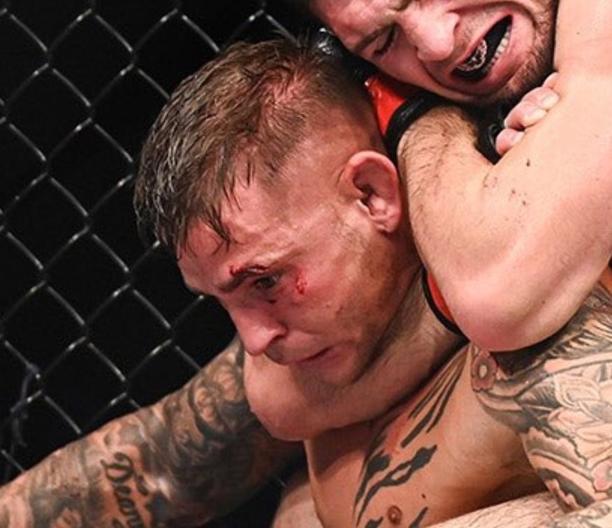 V3Ndl's tweet photo. @DustinPoirier https://t.co/qly8iCfYuM