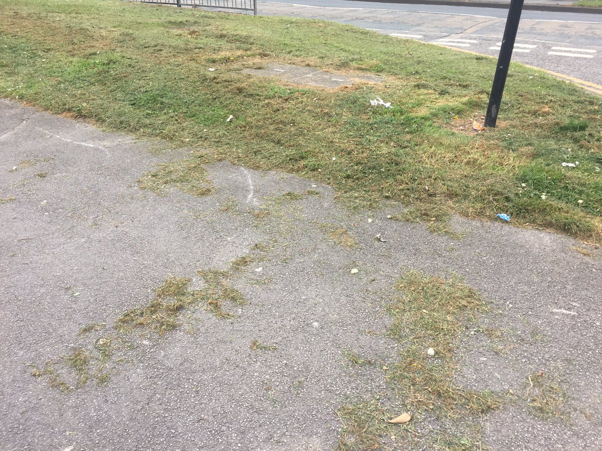 _fiona_green's tweet photo. @KarlTurnerMP Morning Karl. Any idea why the grass has been cut at the top of Astral Way when it’s #NoMowMay ? https://t.co/vD3H5H4bhJ