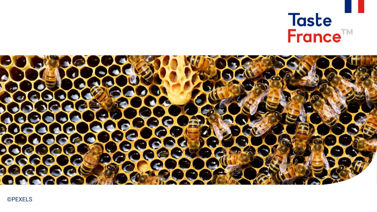 Taste France tweet media