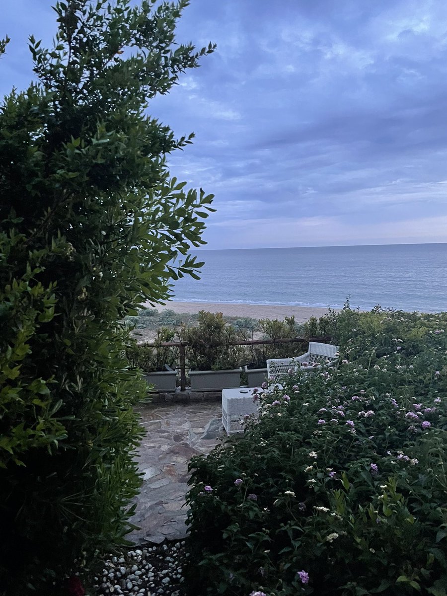 SoSaysMathias's tweet photo. There are worse places to be right now. https://t.co/eU6RjjiPrk