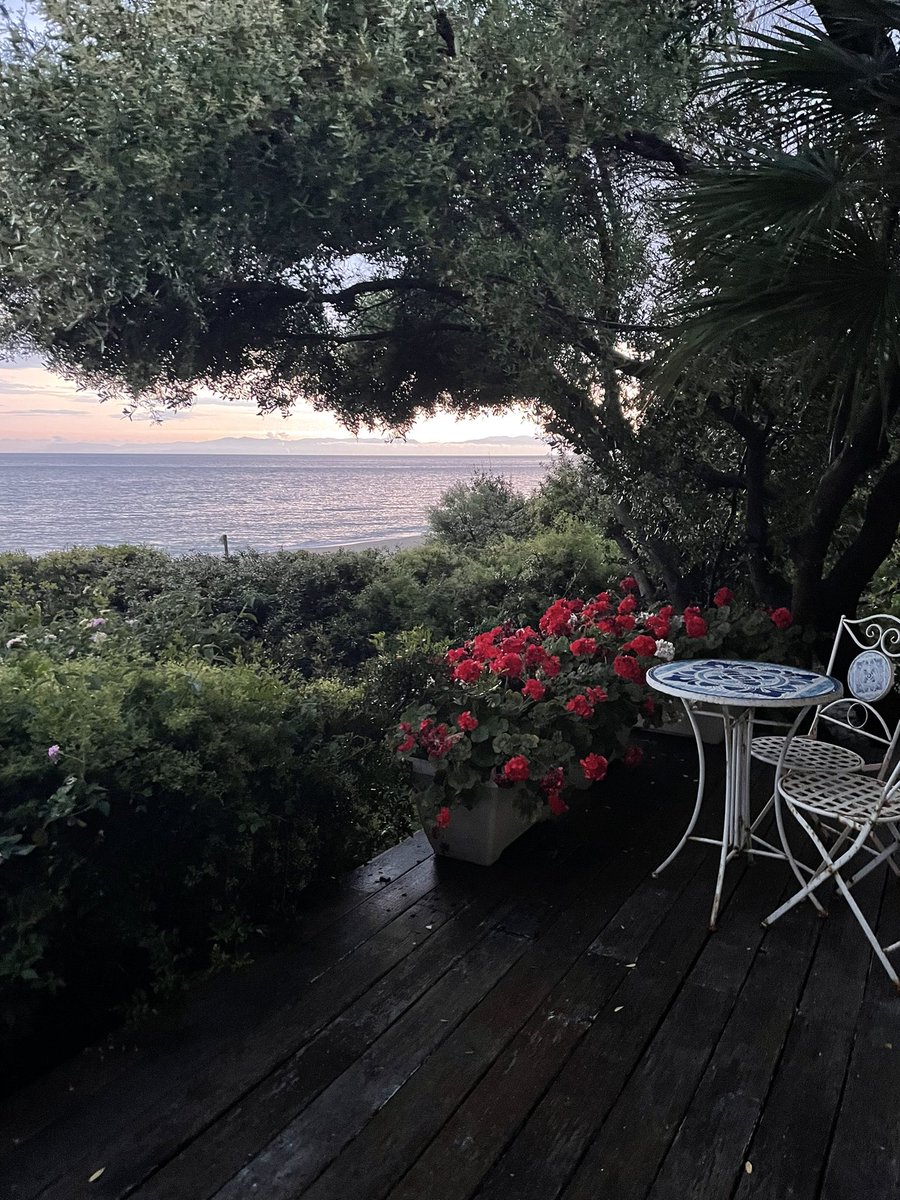 SoSaysMathias's tweet photo. There are worse places to be right now. https://t.co/eU6RjjiPrk