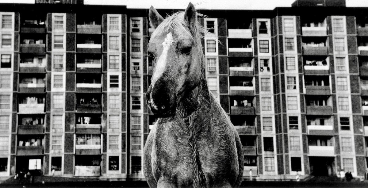 Dublin 1996. We are down to our last few copies <a href="/caferoyalbooks/">Café Royal Books</a> re print coming soon.