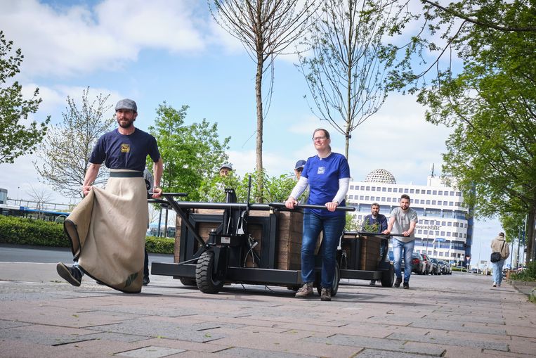 What if your street does not optimize traffic flow, but the quality of life? In the #Bosk project, 1.200 trees walk through #Leeuwarden to show the potential of change.

Source: lc.nl/cultuur/Bosk-e…