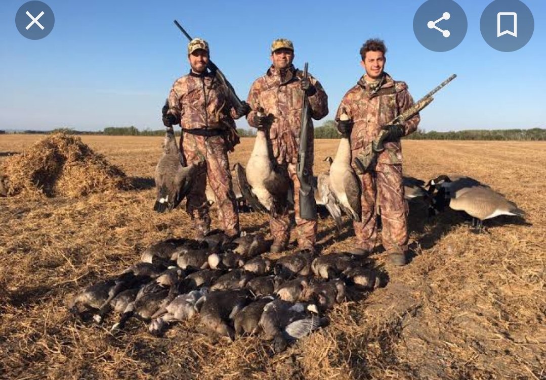 jacynang's tweet photo. Many migratory bird species are threatened by unsustainable hunting and poaching in many parts of the world. #WhatHasChanged Since these practices affect migrating birds and people on a global scale.#AllLivesMatterNG
#SingFlySoar
@PACJAC1
@ncsfpas
@CSDevNet1
@CSDevNet1_Steve https://t.co/6nwqtSpY4c
