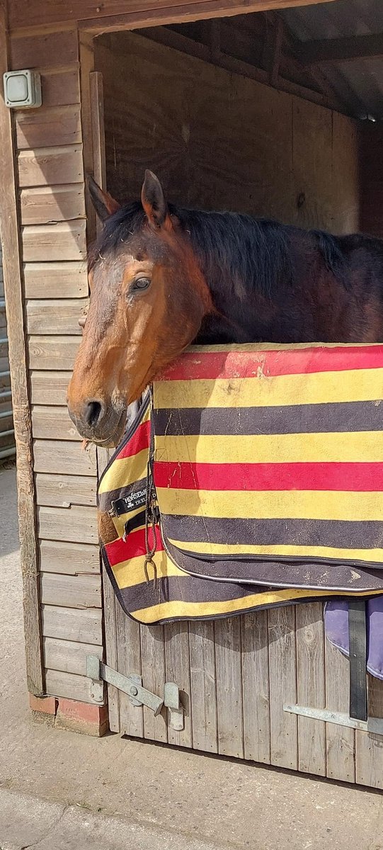 TVP_ChiltSBucks's tweet photo. Today local NHPT have been visiting stables in #Fulmer #GerrardsCross #Denham supporting our Rural Event. Other teams are out and about in other areas. #CrimePrevention #HorseWatch #CountryWatch #C7958 #C9345 https://t.co/TGsn22gRUJ