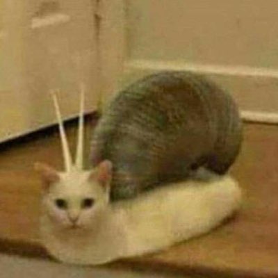 Adisoh's tweet photo. #NewProfilePic https://t.co/CacFpkGsqi