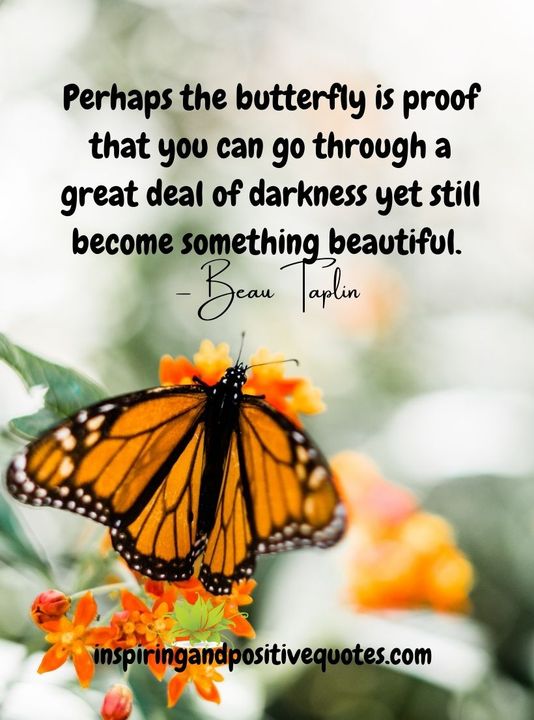 Picky_Painters's tweet image. 📸 Inspiring and Positive Quotes 

&quot;Perhaps the butterfly is proof that you can go through a great deal of darkness, yet still become something beautiful.&quot; ❤️

#learntowait #bepatient #beoptimistic