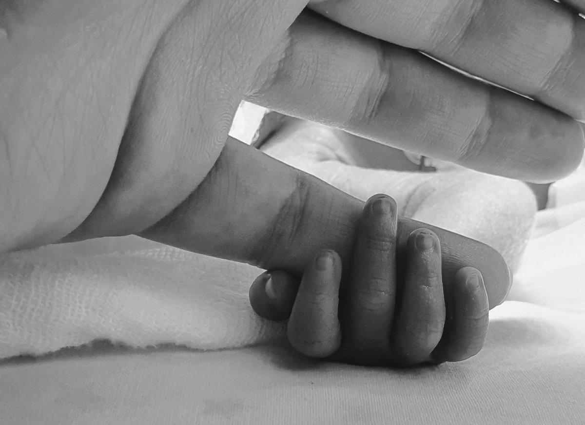 KiwiHusky1's tweet photo. Eigentlich sollten wir sie erst im Juni bekommen, aber die Menschen hatten mit unserer Ungeduld erbarmen und haben uns am 01.04. eine Menschenwelpin gebaut! Mama sagt, dass sie da aber noch nicht ganz fertig war und deshalb in einem Krankenhaus bleiben musste. https://t.co/eJj5xBJshy