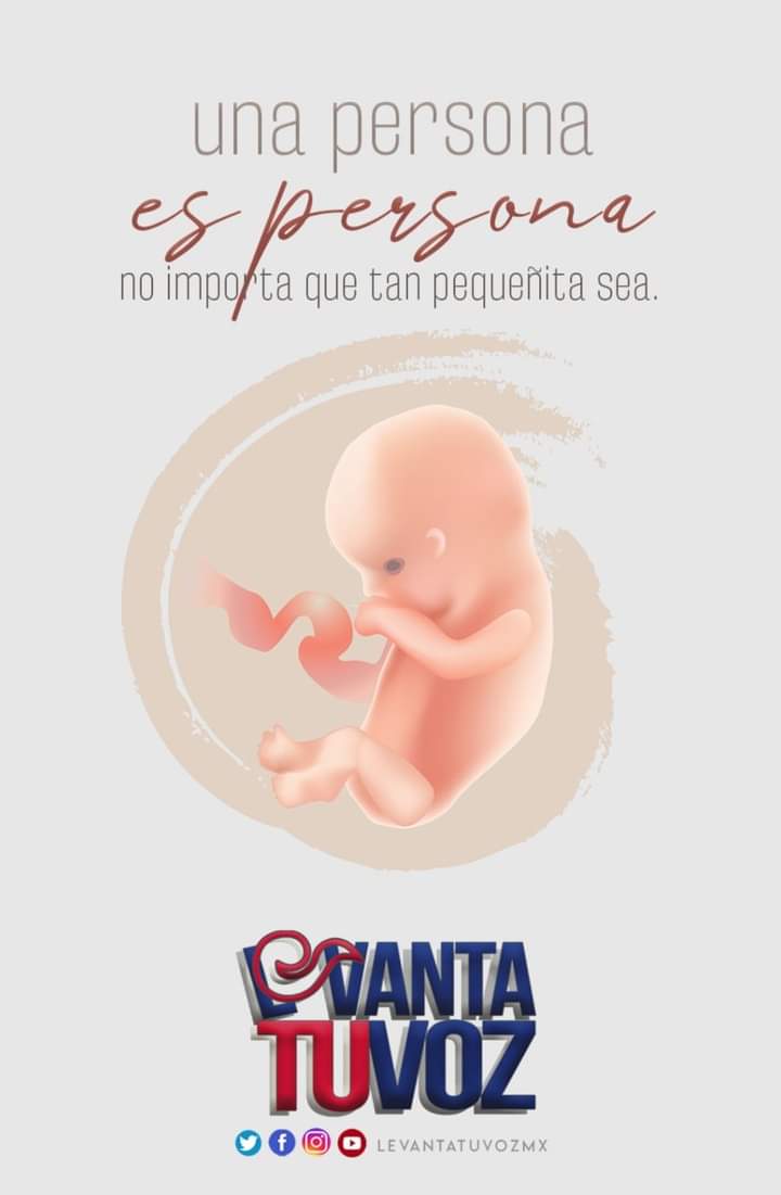NaomiZurc's tweet photo. No es un montón de células, es una vida
#MatarNoEsUnDerecho
#MatarNoEmpodera
@congresogro
@citlali_calixto
@Beatriz_Mojica
@BernardoOrtega_
@AlfredoSnchezE
@NoraVelazquez21
@estrebern
@Raymund12979299
@dipmorenagro
@GPPRIGro
@LetiCastroOrtiz
#MatarNoEsProgreso
#GroEsProVida https://t.co/1exLaCoqgg