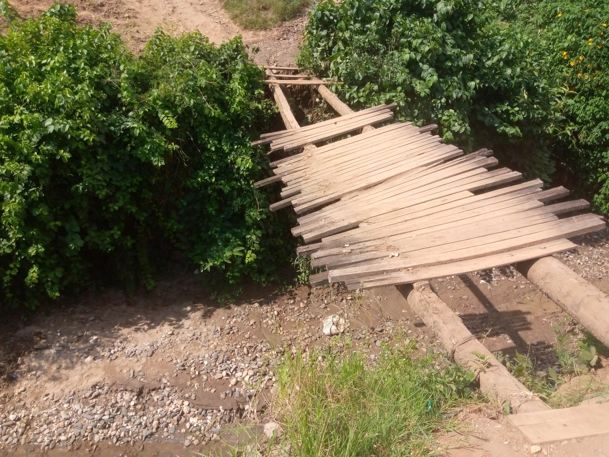 AgasekeTv's tweet photo. #Burundi Le pont reliant les quartiers #Muyaga et #Winterekwa risque de s'effondre.
La cause?
Augmentation des motards empruntant cette voie après la mésure de délimitation des zones de roulage pr les motos, vélos et tukutuk en @MairieBuja https://t.co/xpF8NURRfl