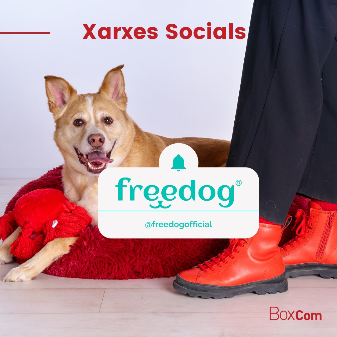 AgenciaBoxcom's tweet photo. A Boxcom som #petlovers 🐶🐱 i res ens fa més il·lusió que haver incorporat al nostre departament de #SocialMedia la marca de complements per a gossos i gats #freedog 🥰 
👉 Una marca que amb Boxcom ha decidit fer un gir 360º a la seva imatge i estratègia global de comunicació 🌐 https://t.co/drtibnisVa