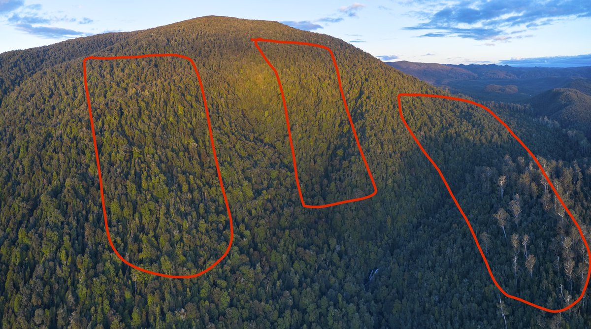 BobBrownFndn's tweet image. This is takayna’s Mt Lindsay. The three outlines mark where Venture Minerals wants to mine. Australia’s largest temperate rainforest needs protection for its world heritage values not mining. #4Corners #politas #auspol