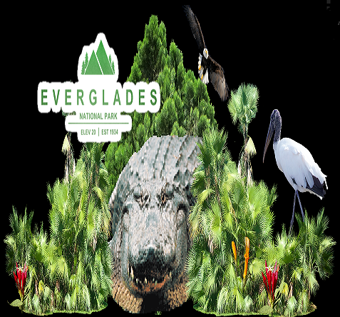 owlpussycatpro1's tweet photo. “A small town in the 1960s must deal with some big-time crime.” – “the Everglades” (Carson Reno Mystery Series Book 3) by Gerald W. Darnell 
https://t.co/vCAxq8WrKG https://t.co/ipnYruymsA