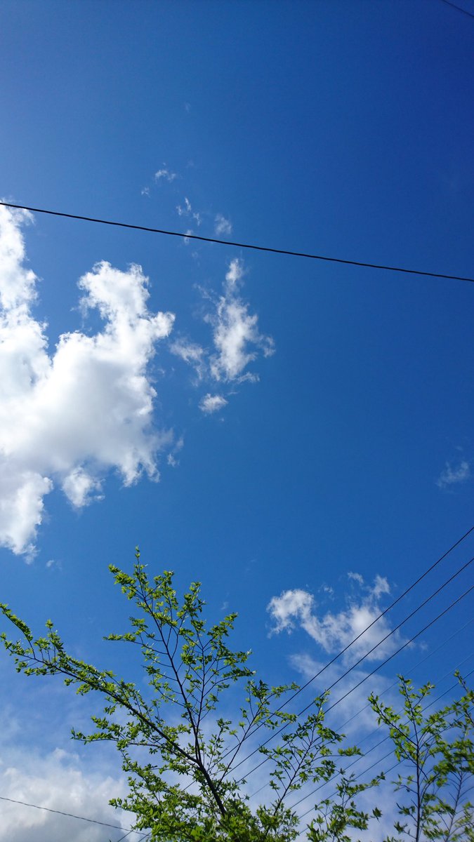 oQYPVSDzZXvvmO2's tweet photo. 青空に投げた思いは
いつかは落ちるのだろうか。

何処か知らない街の
知らない人のもとへと
向かうのだろうか。

そんなことを考えながら
見上げる空は...
いつもよりも青く
いつもよりも広く感じた。

空は
見る側の心情や感情によって
大きく色を変える。

自分が見た
今日の空の色は... https://t.co/KMOEalPrt8