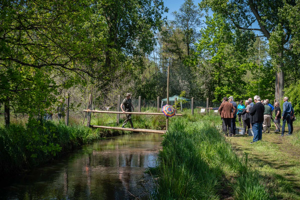 Waterlopen's tweet photo. Samen met bijna 200 bezoekers hebben we Provinciaal Overstromingsgebied #GompelsBroek ingehuldigd ๐๐ฆ Met dit gebied beschermt @prov_antwerpen #Mol #Gompel tegen overstromingen ๐ Ook voor de natuur is het een opsteker en je kunt er heerlijk wandelen ๐ฅพ๐ณ https://t.co/zQTIZ0T3ML https://t.co/ppz1jAUI0v