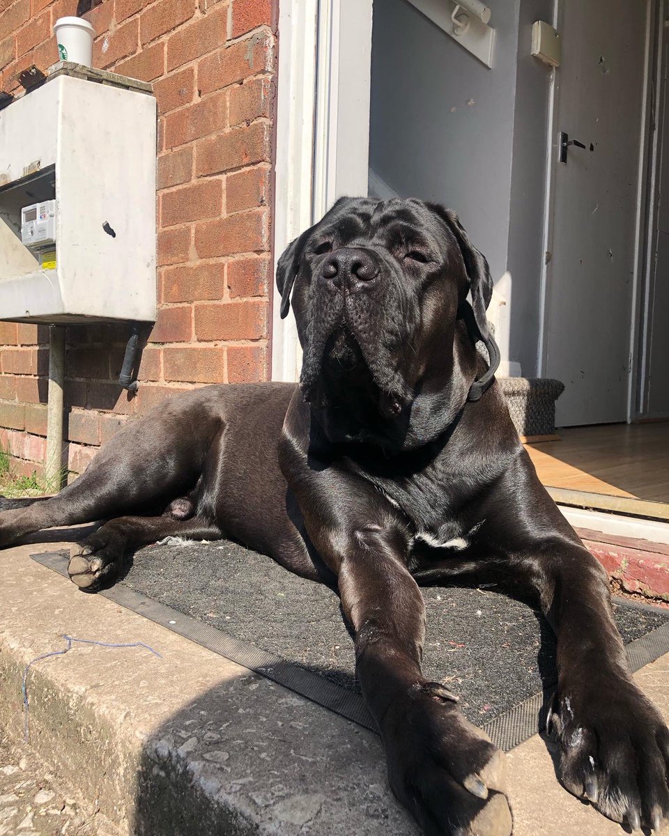 _leahdolan_'s tweet photo. the same old doorstep just 10 months in between 🥺🤍 https://t.co/lmqFhZPU6I