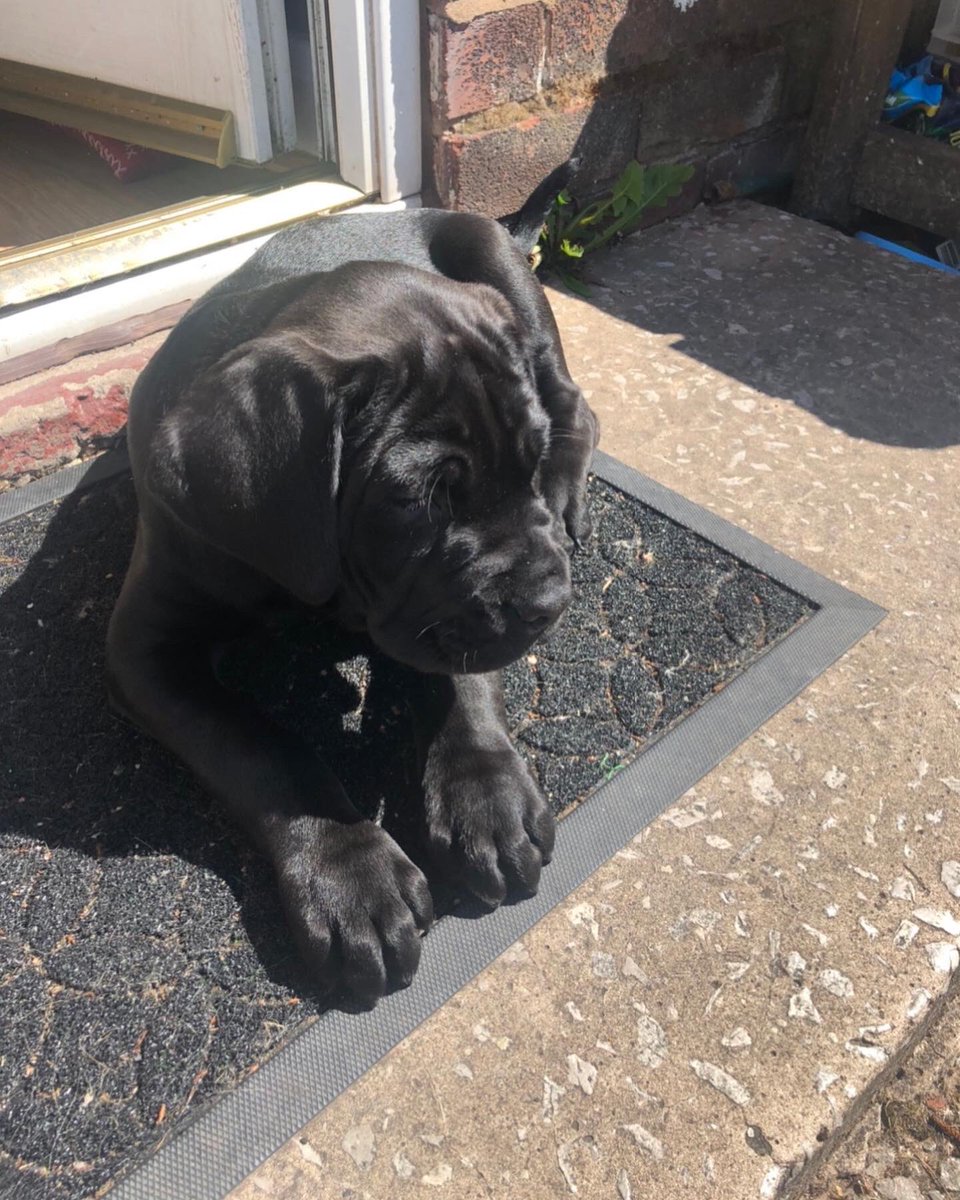 _leahdolan_'s tweet photo. the same old doorstep just 10 months in between 🥺🤍 https://t.co/lmqFhZPU6I
