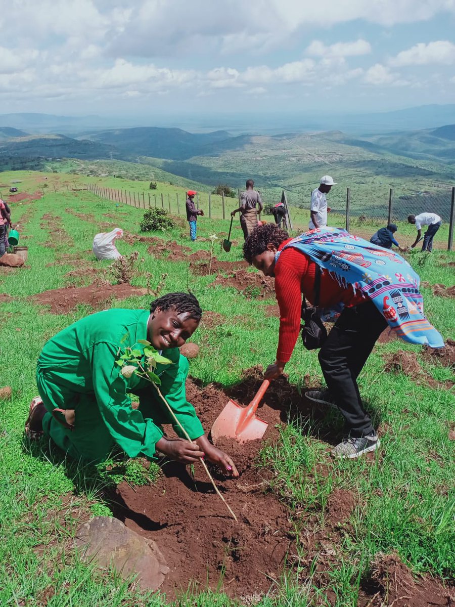 bor_rebecca's tweet photo. Yestday May 8, 2022, I joined Hindu Religion & Service Centre (HRSC) in partnership with @ChinmayaMission Seva Trust & @GreenBlueFound2 to plant 1,000 trees at #NgongForest thanks to all volunteers frm @TardaKE @latewacommbo, Maria, Kitheka @BoldGreen,@DiscoverJKUAT students https://t.co/pxxfL8BmCh
