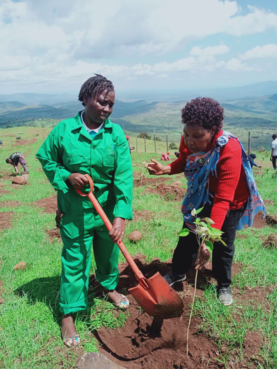 bor_rebecca's tweet photo. Yestday May 8, 2022, I joined Hindu Religion & Service Centre (HRSC) in partnership with @ChinmayaMission Seva Trust & @GreenBlueFound2 to plant 1,000 trees at #NgongForest thanks to all volunteers frm @TardaKE @latewacommbo, Maria, Kitheka @BoldGreen,@DiscoverJKUAT students https://t.co/pxxfL8BmCh