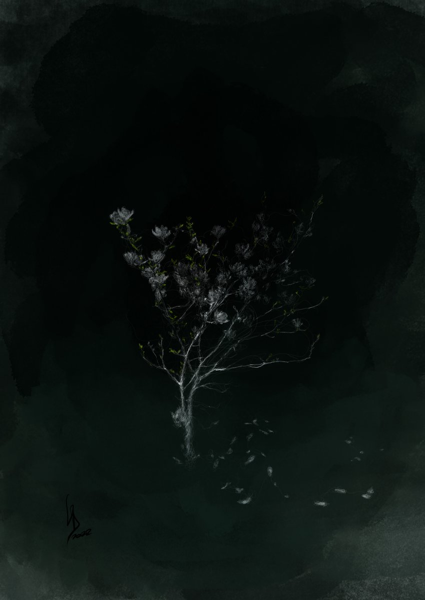 Check out my NFT Magnolia listing on OpenSea! opensea.io/assets/matic/0… via <a href="/opensea/">OpenSea</a> #nft #nftart #NFTCommunity #NFTartists #cryptoart #cryptoartist