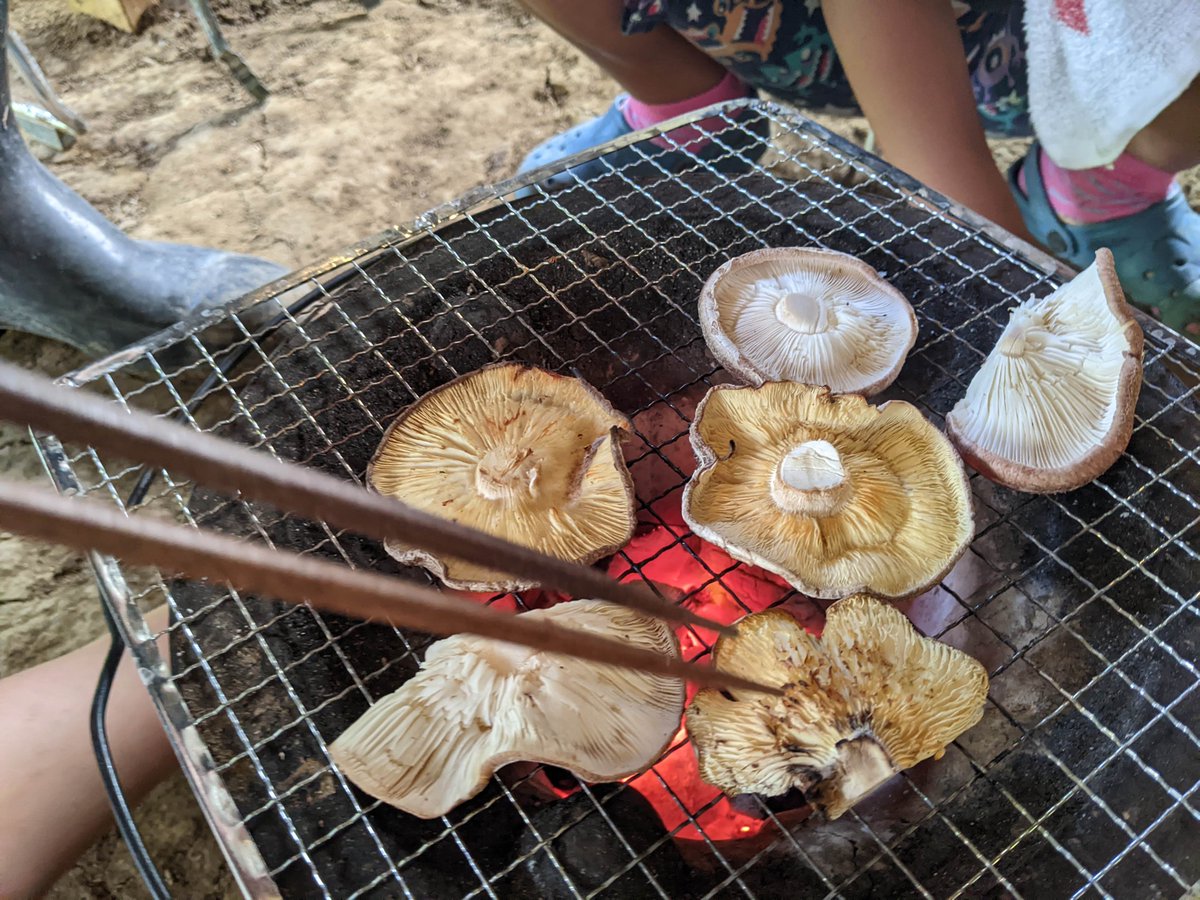 mingakucampco's tweet photo. みんなの学校、学生専属ボランティアのガーリーです。
はじめてのデイキャンプで、ドキドキとワクワクでいっぱいでした。子どもたちは、雨の中でもカッパを着て元気に昆虫散策をしていました。どろんこ遊びでは、泥の感触を楽しみながら落とし穴を作ったり泥合戦をしたりしました
その日は雨が降ったり https://t.co/8PPgWfXkmr