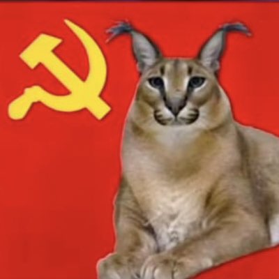 Giorgio2347's tweet photo. #NuevaFotoDePerfil https://t.co/UrlRfsFceS