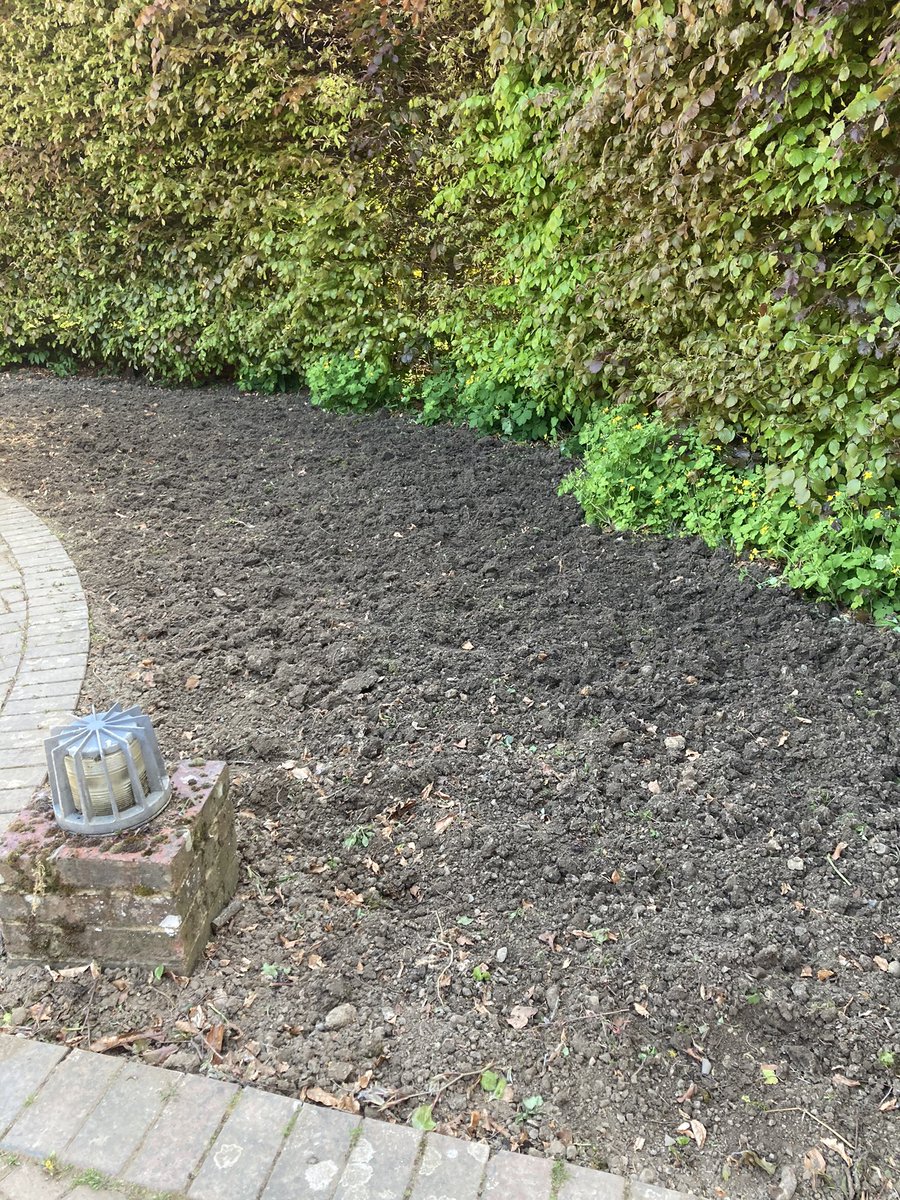 KSS_PC_Maid_TW's tweet photo. Another Sunday, another rose bed! Great work by a Maidstone @KSSPS_CP Team @AylesfordP @KSS_Probation #teamwork #probationworks https://t.co/sajTQJhOtO