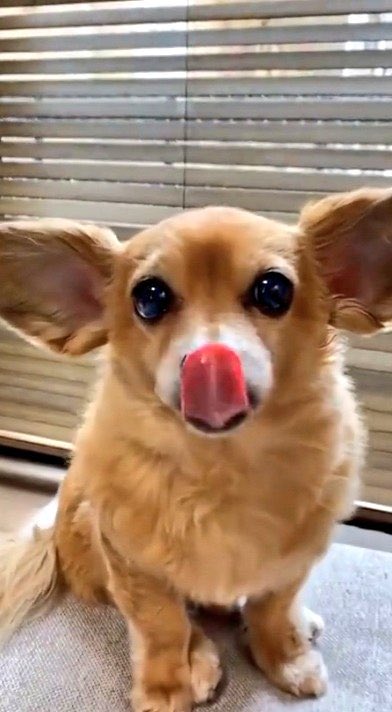 <a href="/arymlt/">Ali Rıza Yıldırım</a> 
@_is0t 
<a href="/atmaca_6/">TUNCAY BALIKÇI</a> 
<a href="/Pilcure/">Die sklavinnen greta</a> 
<a href="/Ertyks/">@Ertuğrul</a> 
<a href="/6hk34/">Hakan Kaynak</a> 
<a href="/nese1923/">Neşe Sönmez</a> 
<a href="/_os35/">onur şahin</a> 
<a href="/_turgt/">TUNCAY</a> 
<a href="/68_eco/">Ahmet turan</a> 
<a href="/Irmknz/">Çam Ağacı</a> 
<a href="/_er35/">eren pınar</a> 
<a href="/ATAM02/">Osman Sait Şahin</a> 
<a href="/0025al/">🧸</a> 
<a href="/R_zg_r/">341 NFT Collection💙</a> 
@b1471r 
<a href="/_ytzn/">❁ Zilan ❁</a> 
@Onur__Tas 
@Oz35_ 
<a href="/em_ir01/">saudade</a> 
<a href="/TGubes/">Tugay GÜBEŞ</a> 
<a href="/_akif1/">Akif Pamuk</a> 
<a href="/Da__Eliz/">Eli👸</a> 
@dlra_1 
@MKAGnsy 
<a href="/1oknm/">🇹🇷 1OKNM 🇹🇷</a> 
<a href="/em_ir01/">saudade</a>
<a href="/janti_55/">ilysglm</a> 
<a href="/20ysf1/">Yusuf</a> 
<a href="/aliglds/">aliglds</a> 
Rt