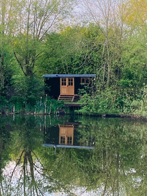 purplebadger2's tweet photo. Our latest addition to stay in around the lake https://t.co/17PGlDNbw0