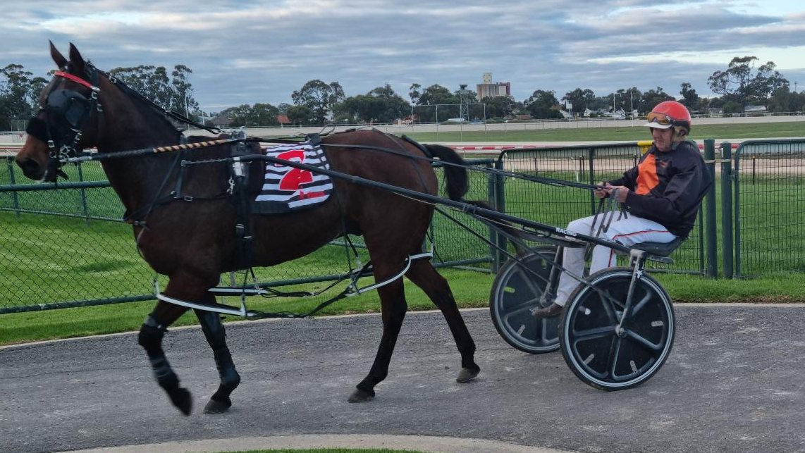 Veteran 12yo IRISHMURPHY (Rod Barker/Jim Barker) fights back to grab his 7th career win in 107 starts on the line in the DECRON PACE (race 9) on Monday. 

Congratulations to owners RF Cook, RP James, ID Hart, MK Young, AP Tranquilli, SA James and RE Przewloka.