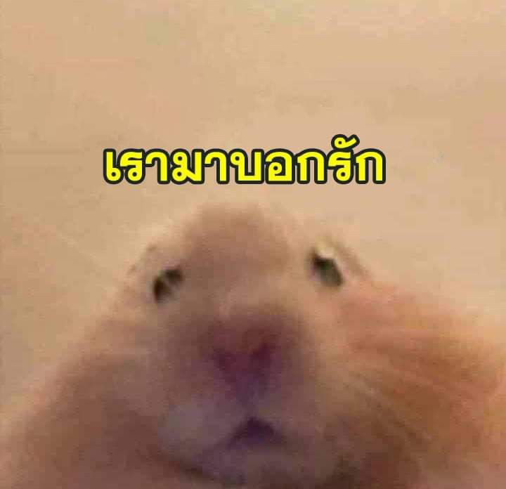 dios del infierno จะฟอลแบคดีๆหรือจะให้ไปจุ้บ tweet media
