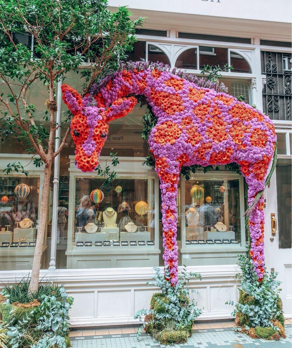 listique_uk's tweet photo. The countdown to Chelsea in Bloom is on!

This year the show takes place from the 23rd -28th May &amp; the theme is 'British Icons'. We can't wait to see more brilliant displays like this giraffe created by Philllip Corps for Kiki McDonough for the 2017 safari theme!

📸: @irkkuliri https://t.co/55NJNwOg8b