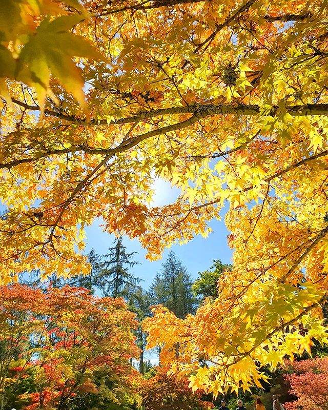 Forestry England tweet media