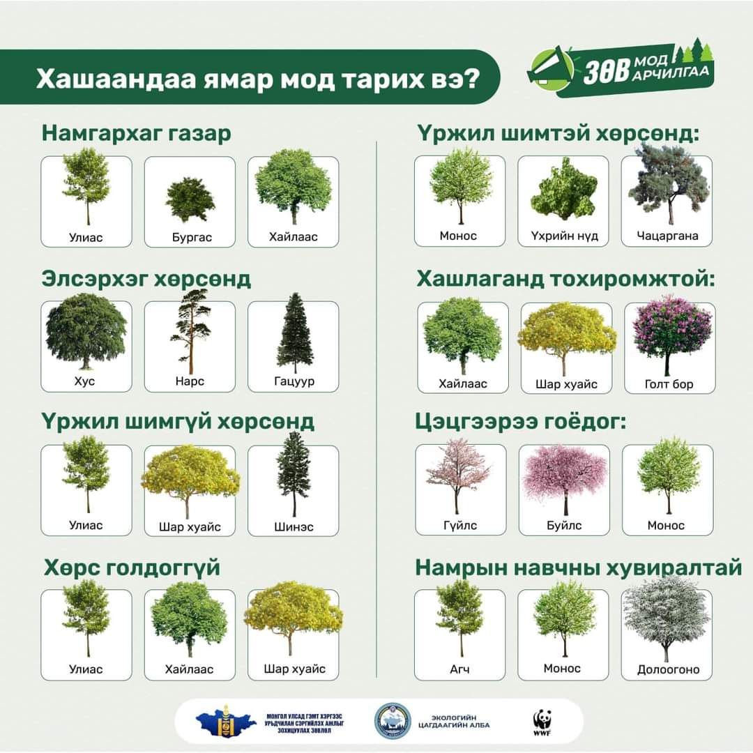 Ёстой хэрэгтэй мэдээлэл байна