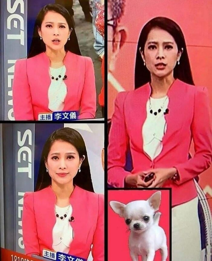 liansib10's tweet photo. คือถึงขนาดต้องเอาชิวาว่ามาทำเป็นเสื้อเลยหรอ กูไม่โอเคเด้ https://t.co/vilCifbVCX