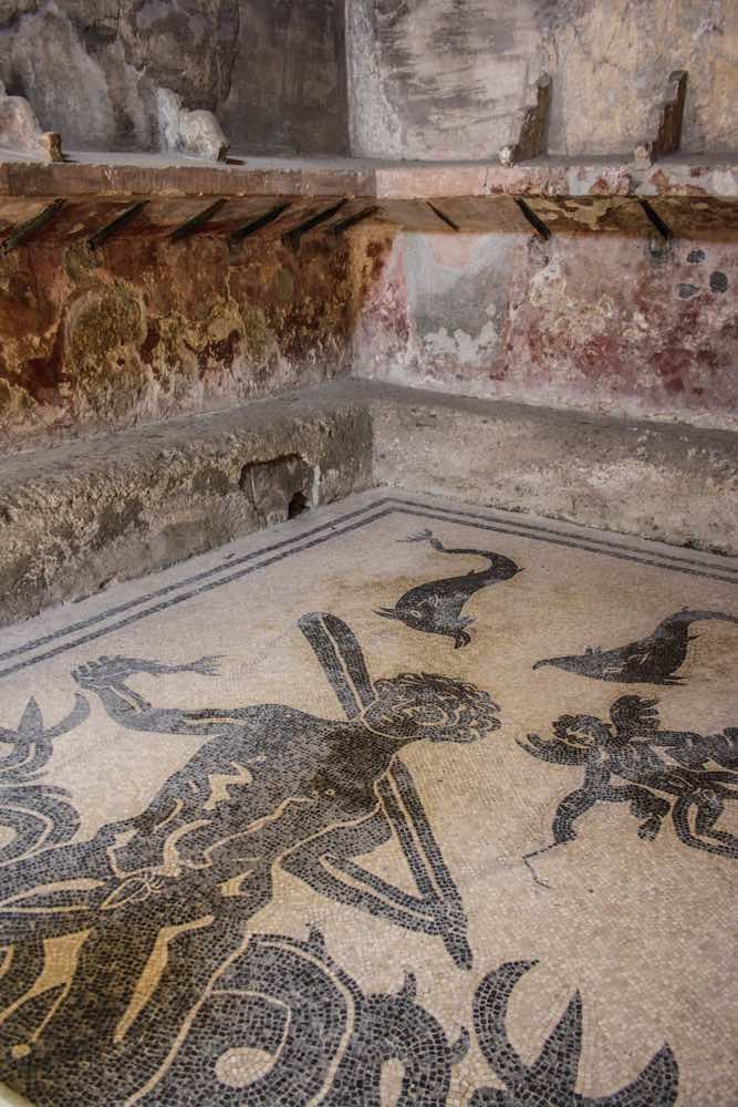 #MosaicMonday
Mosaic floor in the women's changing rooms at the Roman Bathouse in Herculaneum, Italy. The mosaic depicts Neptune and various Sea creatures.