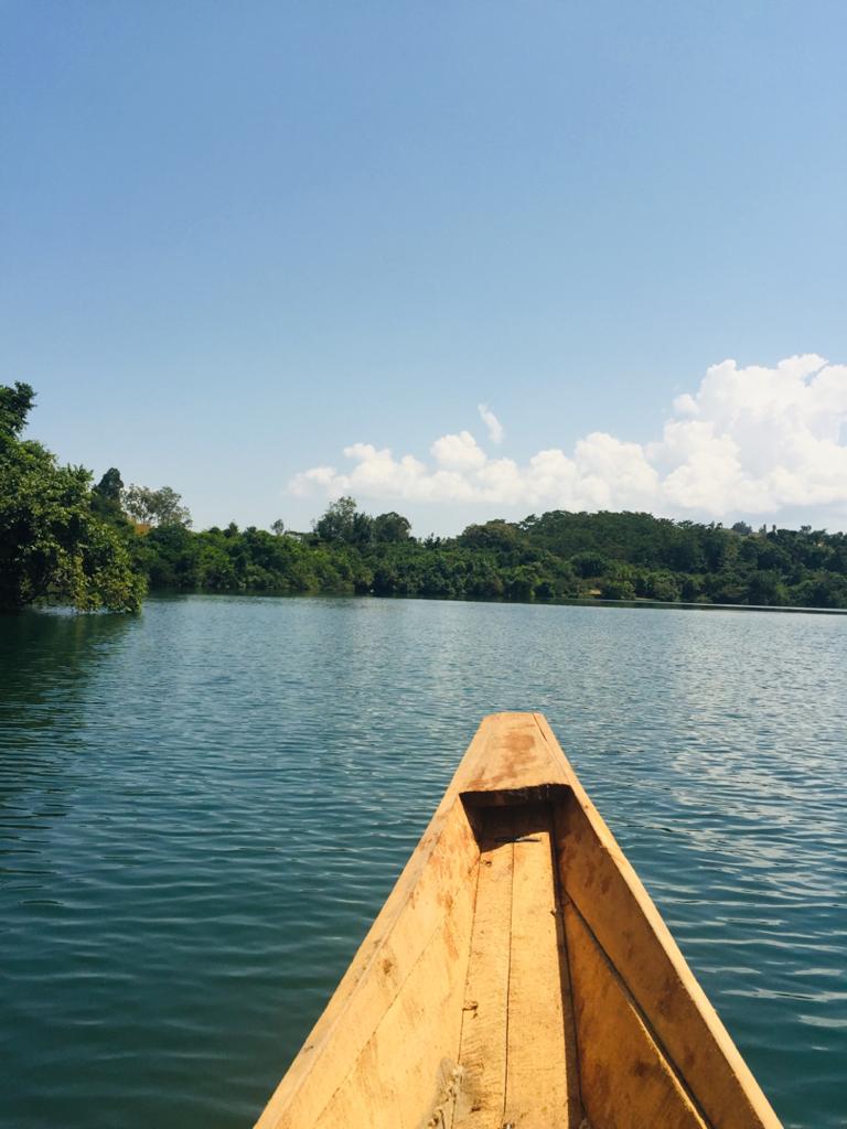 IVOMO4's tweet photo. Happy New Week from south-west of Rwanda 

#Kinyaga #NewWeek https://t.co/PGlvnl2htJ